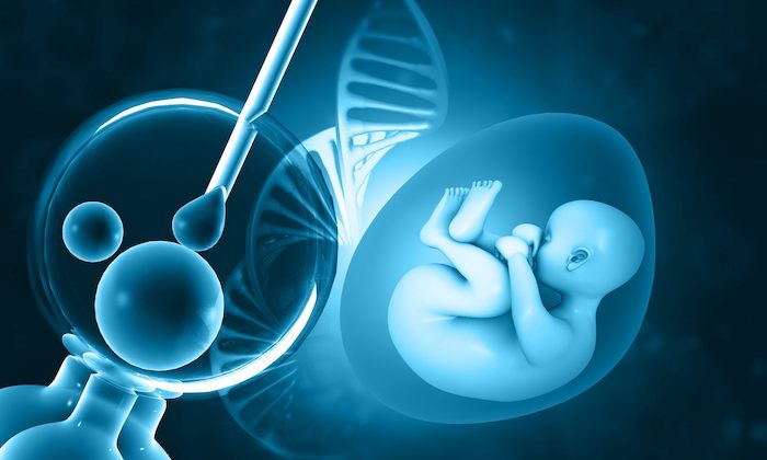 Kyrgyzstan IVF Surrogacy Laws