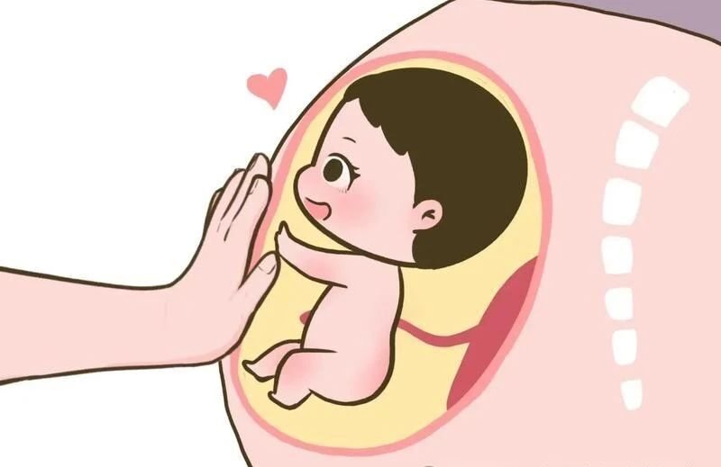 IVF Embryo Transfer